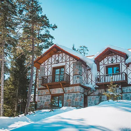 Foleya Mountain & Hotel Trabzon