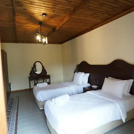 Foleya Mountain & Hotell 3*