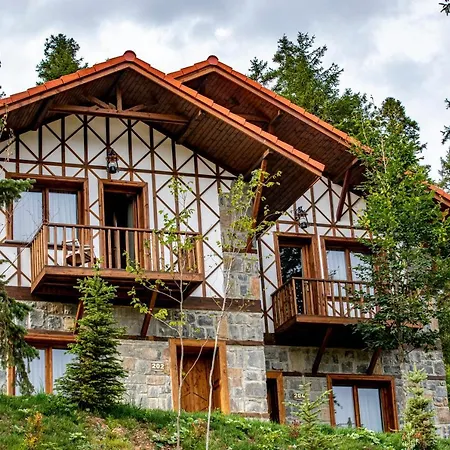 ومنتجع وفيلات فوليا ماونتن فندق