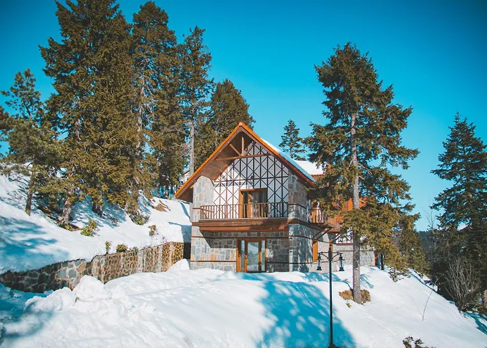 Foleya Mountain & 3*