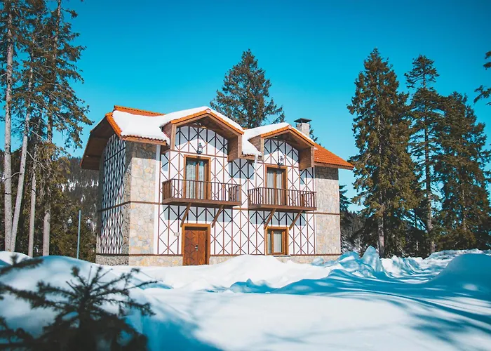 Foleya Mountain & 3* 特拉布宗