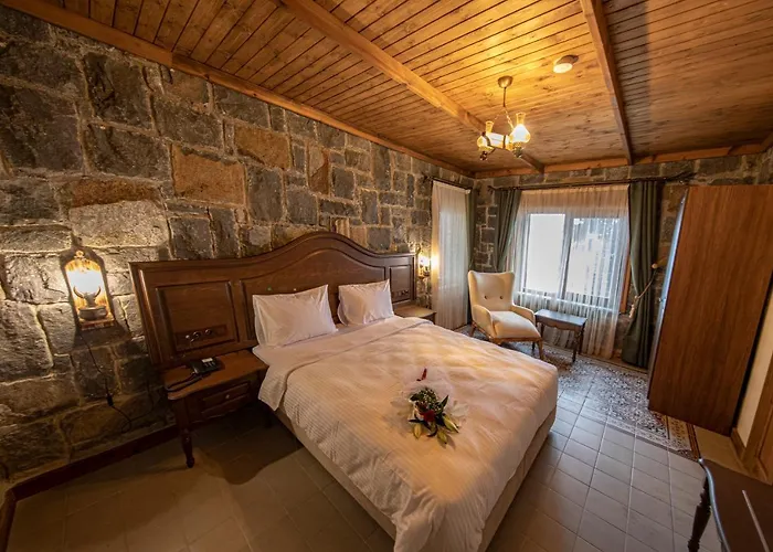 Foleya Mountain & 特拉布宗