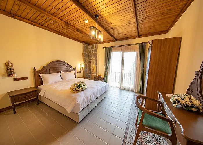 Foleya Mountain & 特拉布宗