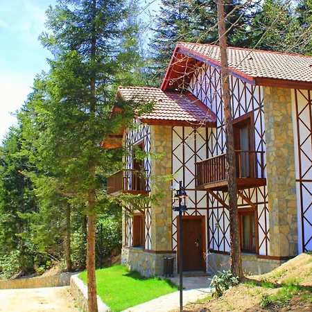 Hotel Foleya Mountain &