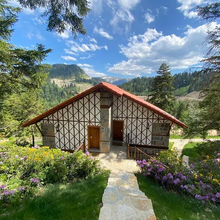 Foleya Mountain & Hotel Trabzon