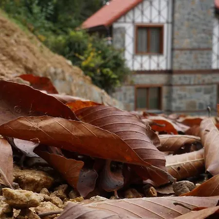 Foleya Mountain & 3* Trabzon