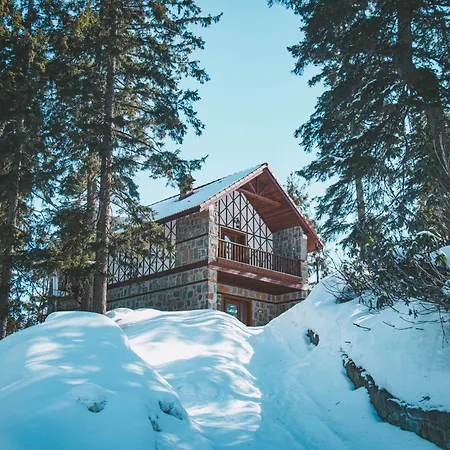 Foleya Mountain Hotel&villas Trabzon