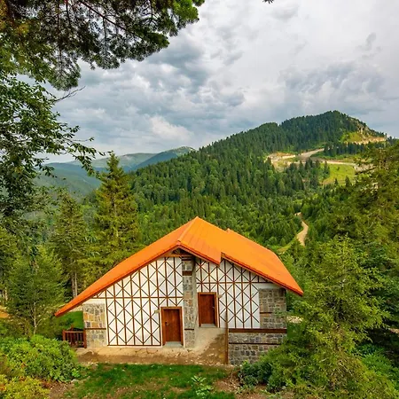 فندق Foleya Mountain & ترابزون