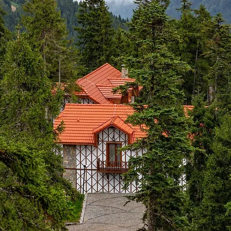 Foleya Mountain & فندق