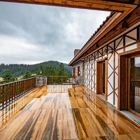 Foleya Mountain & Trabzon