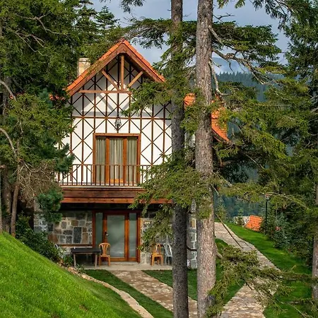 Foleya Mountain &