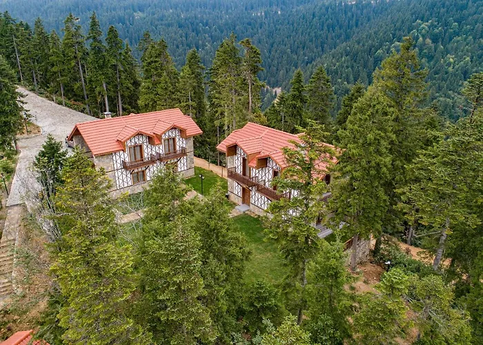 Foleya Mountain & Hotel Trabzon