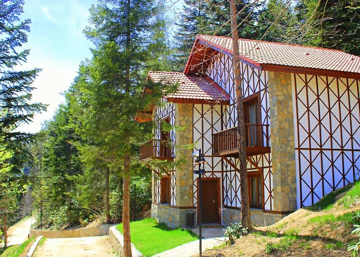 Hotel Foleya Mountain &