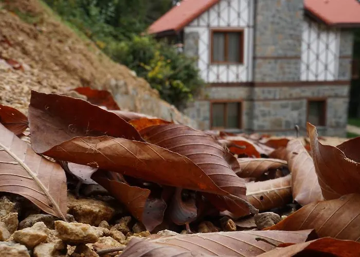 Foleya Mountain & 3* Trabzon