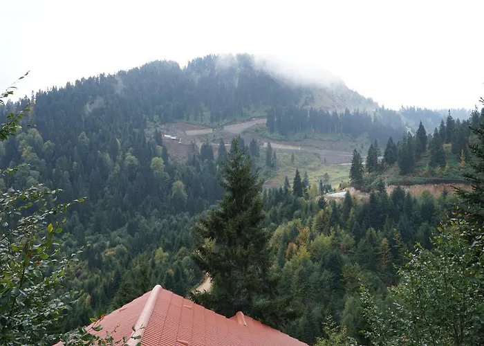 Hotel Foleya Mountain & Trabzon