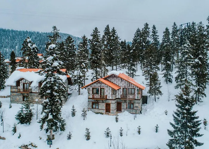 Hotel Foleya Mountain &