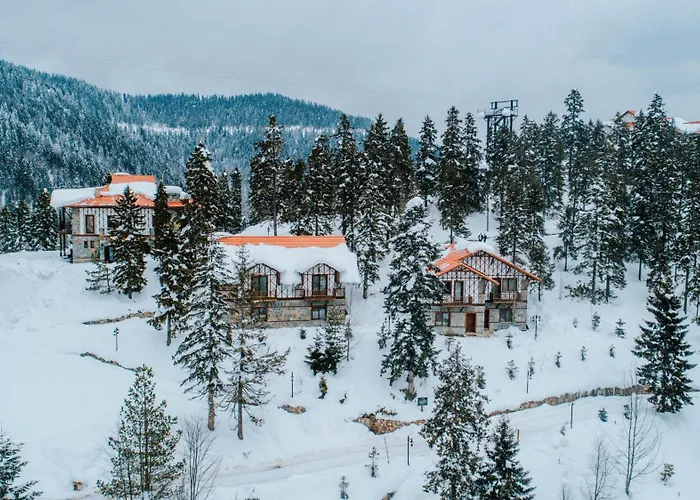 Hotel Foleya Mountain & 3*