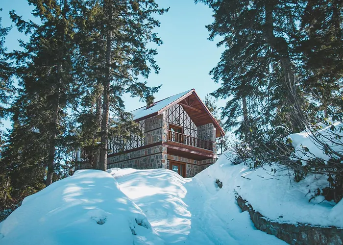 Foleya Mountain & Trabzon