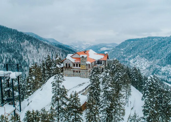 Foleya Mountain & Trabzon