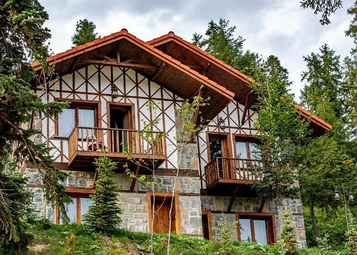 Foleya Mountain & Hotel 3*