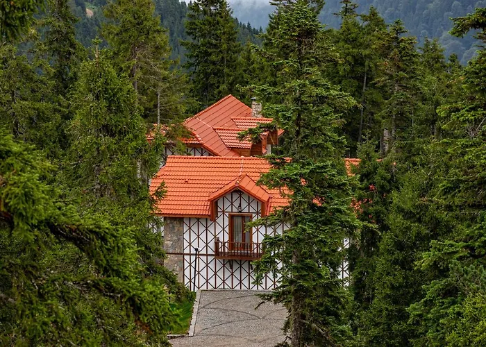 Foleya Mountain & Hotel