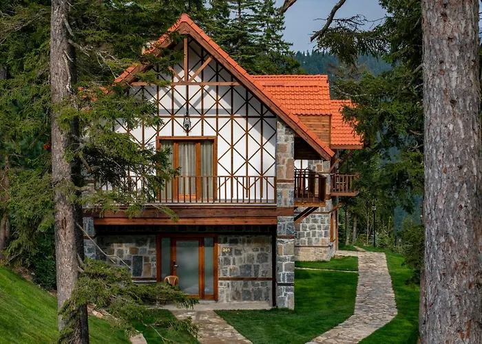 Hotel Foleya Mountain & 3*